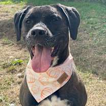 Thumbnail photo of Winnie #1