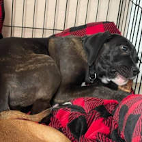 Thumbnail photo of Winnie #2