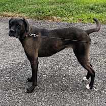 Thumbnail photo of Winnie #3