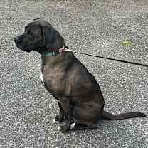 Thumbnail photo of Winnie #4