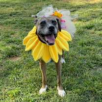 Thumbnail photo of Dorothy (Dottie) #1