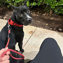 Thumbnail photo of Classie #1