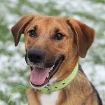 Thumbnail photo of Axel #1