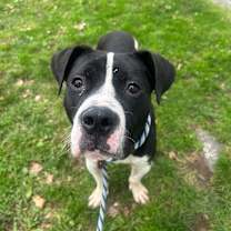 Thumbnail photo of Deuce #3