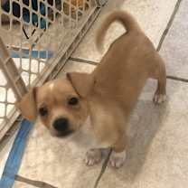 Thumbnail photo of Scott Calvin #3