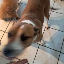 Thumbnail photo of Bootsy #3