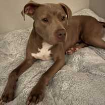 Thumbnail photo of Tango #2