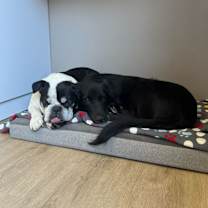 Thumbnail photo of Danny #3