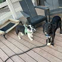 Thumbnail photo of Danny #4