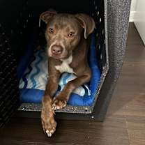 Thumbnail photo of Tango #4