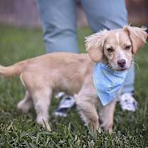 Thumbnail photo of Ziti #3