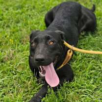 Thumbnail photo of Airis #2