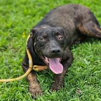 Thumbnail photo of Annora #3