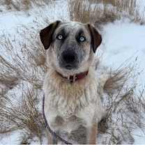 Thumbnail photo of Phil #1