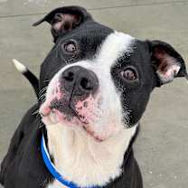 Thumbnail photo of Fryer Tuck #1