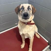 Thumbnail photo of Phil #2