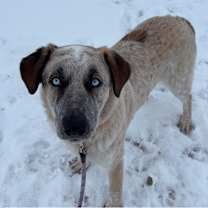 Thumbnail photo of Phil #4