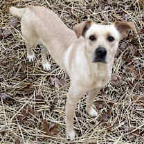 Thumbnail photo of Reba #1