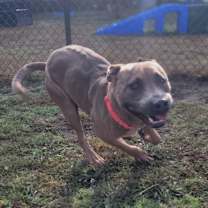 Thumbnail photo of Kobe(HW+) #1