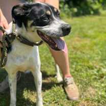 Thumbnail photo of Buckley #1