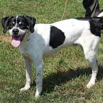 Thumbnail photo of Buckley #2