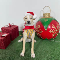 Thumbnail photo of Berry #3