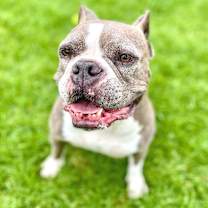 Thumbnail photo of Matza #4