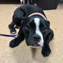 Thumbnail photo of Brian VIP $25 #1