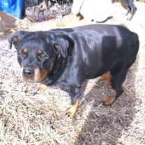 Thumbnail photo of Lady #1