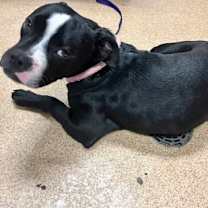 Thumbnail photo of Brian VIP $25 #3