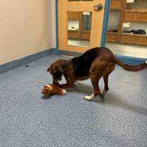 Thumbnail photo of Carlee #2