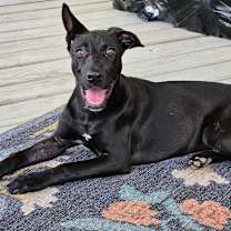 Thumbnail photo of Truffles BW #1