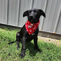 Thumbnail photo of Truffles BW #3