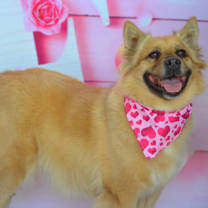 Thumbnail photo of Chloe JuM #3