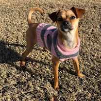 Thumbnail photo of Dolly #2