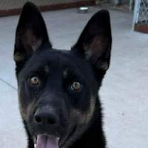 Thumbnail photo of Logan #1