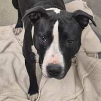 Thumbnail photo of Kara #1