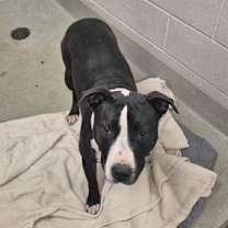 Thumbnail photo of Kara #2