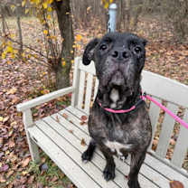 Thumbnail photo of Freya #3