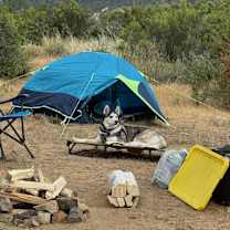 Thumbnail photo of Apollo #4