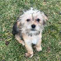 Thumbnail photo of Parfait #1