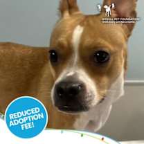 Thumbnail photo of JOAN #1