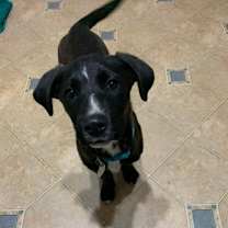 Thumbnail photo of Gracie McWaggle #3