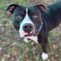 Thumbnail photo of Fabio #2