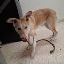 Thumbnail photo of Sugar #3