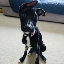 Thumbnail photo of Charlotte #3