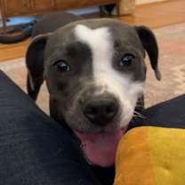 Thumbnail photo of Eva #1