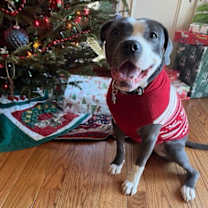 Thumbnail photo of Eva #2