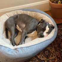 Thumbnail photo of Eva #3