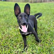 Thumbnail photo of Hannah #1